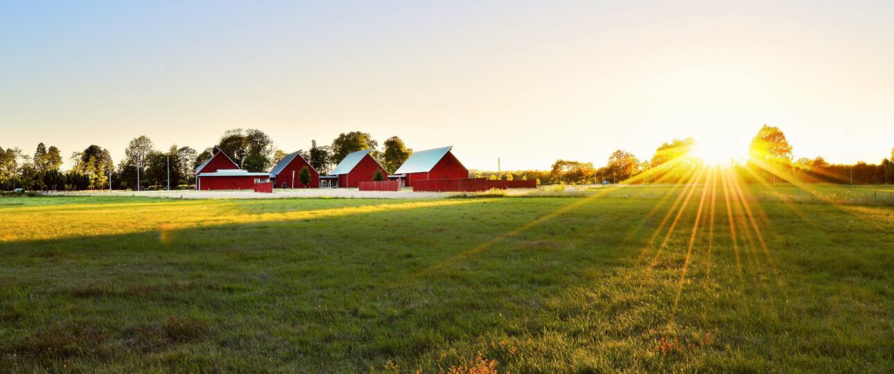 Ferienhaus in Schweden