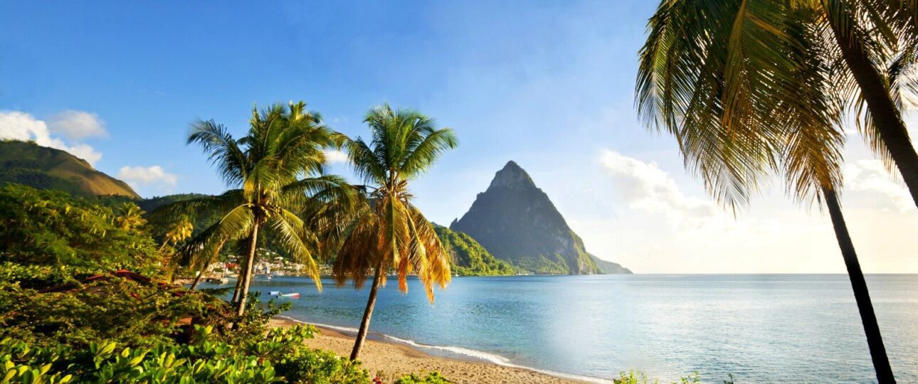 Strand von Saint Lucia mit Palmen
